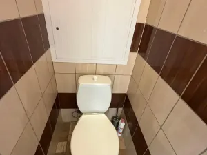 Prodej bytu 2+1, Bílina - Pražské Předměstí, Aléská, 48 m2
