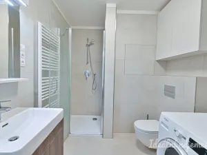 Pronájem bytu 1+kk, Brno, Hybešova, 46 m2