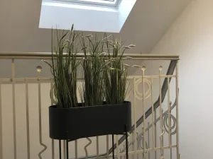 Pronájem bytu 1+kk, Hradec Králové, Chelčického, 36 m2