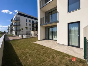 Pronájem bytu 1+kk, Plzeň - Jižní Předměstí, Železná, 35 m2
