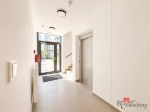 Pronájem bytu 1+kk, Plzeň - Jižní Předměstí, Železná, 35 m2
