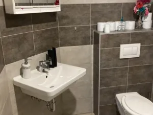 Pronájem bytu 1+kk, Králův Dvůr, Tyršova, 54 m2