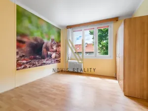 Pronájem bytu 3+1, Bor, Borská, 67 m2