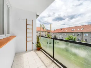 Pronájem bytu 3+1, Bor, Borská, 67 m2