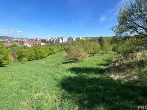 Prodej pozemku, Blansko - Klepačov, 10598 m2