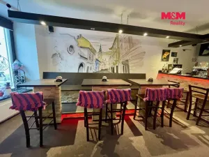 Pronájem restaurace, Nový Jičín, Žerotínova, 70 m2
