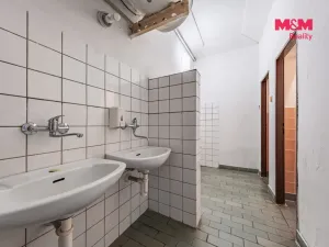 Prodej rodinného domu, Skršín - Dobrčice, 690 m2