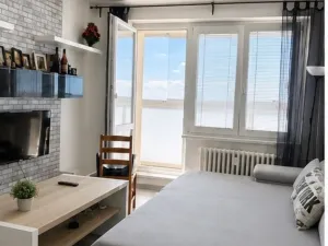 Prodej bytu 1+kk, Ostrava - Výškovice, Výškovická, 33 m2