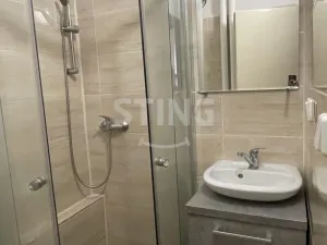 Pronájem bytu 1+kk, Ostrava, Krakovská, 20 m2