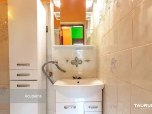 Prodej rodinného domu, Třemošná, Blaženy Fenclové, 73 m2