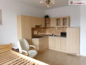 Pronájem bytu 1+kk, Mladá Boleslav - Mladá Boleslav III, U Kasáren, 40 m2