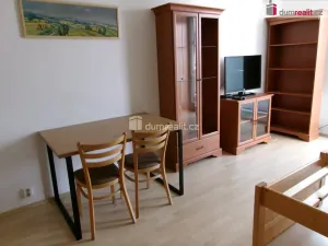 Pronájem bytu 1+kk, Mladá Boleslav - Mladá Boleslav III, U Kasáren, 39 m2
