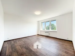 Prodej bytu 1+1, Tisá, 30 m2