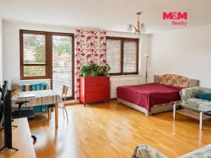 Pronájem bytu 1+kk, Praha - Podolí, Dvorecká, 50 m2