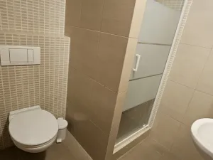 Pronájem bytu 1+kk, Plzeň - Východní Předměstí, Sladkovského, 36 m2