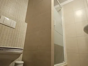 Pronájem bytu 1+kk, Plzeň - Východní Předměstí, Sladkovského, 36 m2