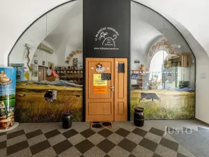 Pronájem obchodního prostoru, Uherské Hradiště, Masarykovo náměstí, 41 m2