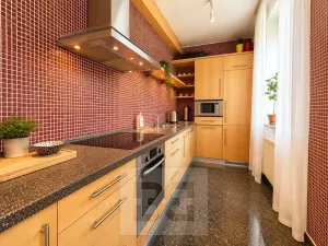 Pronájem bytu 3+kk, Brno, Malostranská, 100 m2