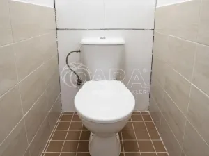 Pronájem bytu 2+1, Beroun - Beroun-Město, Drašarova, 53 m2