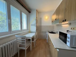 Pronájem bytu 3+1, Hodonín, Cihlářská čtvrť, 71 m2