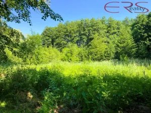 Prodej pozemku pro bydlení, Pertoltice - Horní Pertoltice, 3264 m2