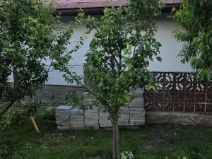 Prodej rodinného domu, Žulová, Komenského, 225 m2