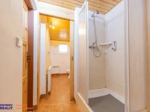 Prodej chaty, Zábřeh - Dolní Bušínov, 94 m2
