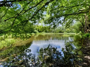 Prodej chaty, Horčápsko, 40 m2