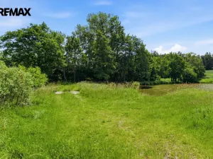 Prodej rybníku, Starosedlský Hrádek, 51034 m2