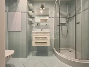 Pronájem bytu 1+kk, Brno - Lesná, Brožíkova, 36 m2
