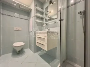 Pronájem bytu 1+kk, Brno - Lesná, Brožíkova, 36 m2