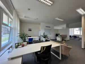 Pronájem kanceláře, Olomouc, Fibichova, 81 m2