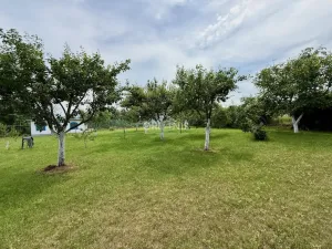 Prodej zemědělské usedlosti, Veliká Ves - Široké Třebčice, 100 m2