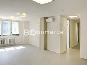 Pronájem kanceláře, Brno, Dominikánské náměstí, 380 m2
