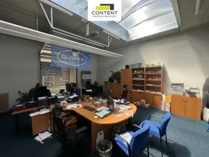 Pronájem skladu, Strančice - Všechromy, 301 m2