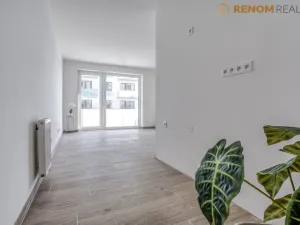 Pronájem bytu 2+kk, Olomouc, Třída Jiřího Pelikána, 50 m2
