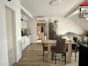 Prodej rodinného domu, Veselí nad Lužnicí, Malé náměstí, 303 m2