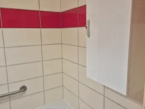 Pronájem bytu 3+1, Ostrava, Podroužkova, 62 m2