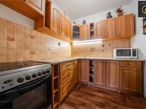 Pronájem bytu 1+kk, Kladno, V Bažantnici, 33 m2