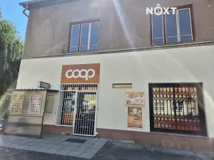 Pronájem bytu 2+1, Solenice, 51 m2