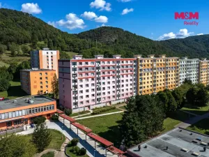 Prodej bytu 1+1, Ústí nad Labem - Mojžíř, Peškova, 35 m2