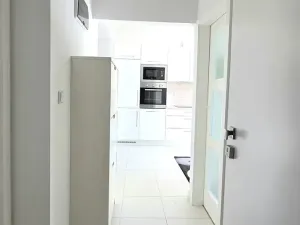 Pronájem bytu 2+kk, Brno, Šámalova, 65 m2