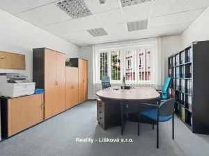 Prodej kanceláře, Ústí nad Labem - Ústí nad Labem-centrum, Sienkiewiczova, 430 m2