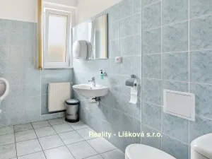 Prodej kanceláře, Ústí nad Labem - Ústí nad Labem-centrum, Sienkiewiczova, 430 m2