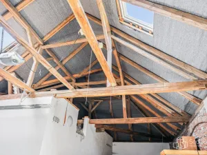 Prodej zemědělské usedlosti, Bělčice, 290 m2