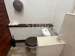 Pronájem obchodního prostoru, Ostrava - Moravská Ostrava, 30. dubna, 44 m2