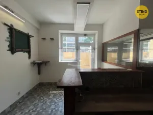 Prodej obchodního prostoru, Ostrava, 30. dubna, 44 m2