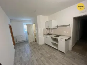 Pronájem bytu 1+1, Ostrava, Podzámčí, 38 m2