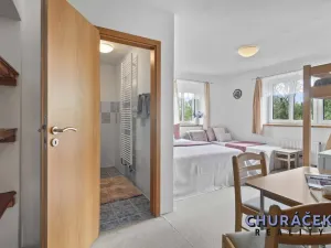 Prodej ubytování, Nová Pec, 280 m2