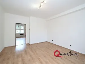 Pronájem bytu 1+1, Praha - Braník, Branická, 47 m2